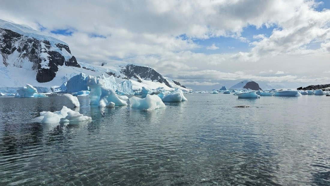 PLA29-25, Day 8, Picture25 © Unknown photographer - Oceanwide Expeditions.jpg