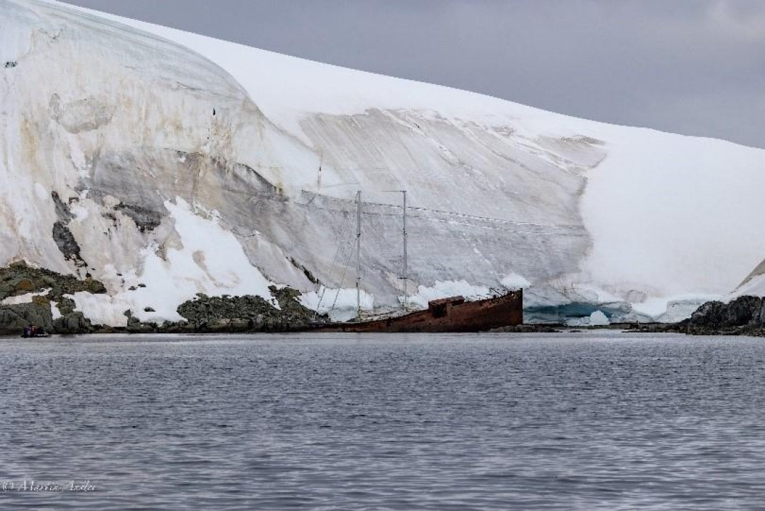 PLA29-25, Day 9, Picture28 © Martin Anstee - Oceanwide Expeditions.jpg
