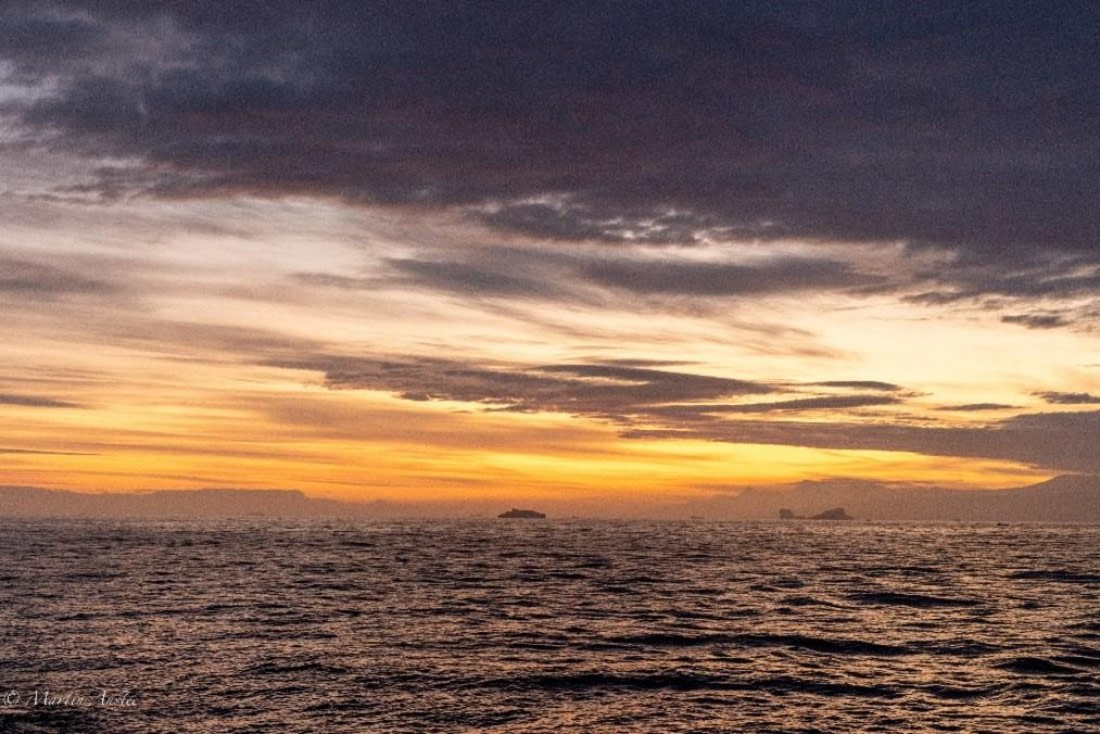 PLA29-25, Day 9, Picture33 © Martin Anstee - Oceanwide Expeditions.jpg