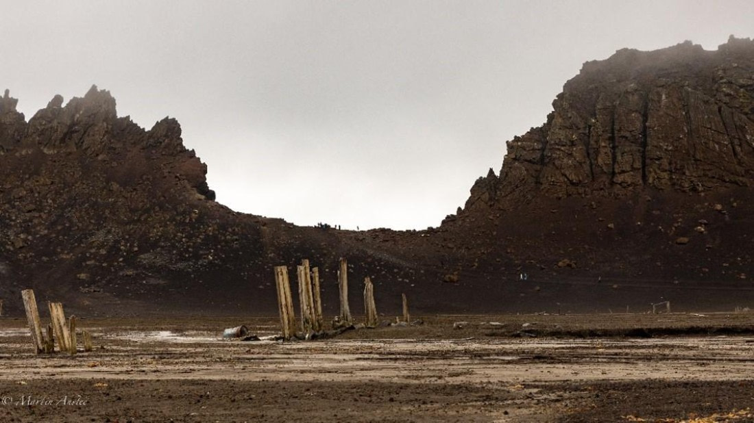 PLA29-25, Day 10, Picture36 © Martin Anstee - Oceanwide Expeditions.jpg