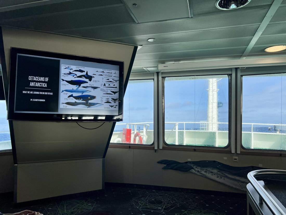 PLA30-25, Day 3, IMG_5655 © Unknown photographer - Oceanwide Expeditions.jpeg