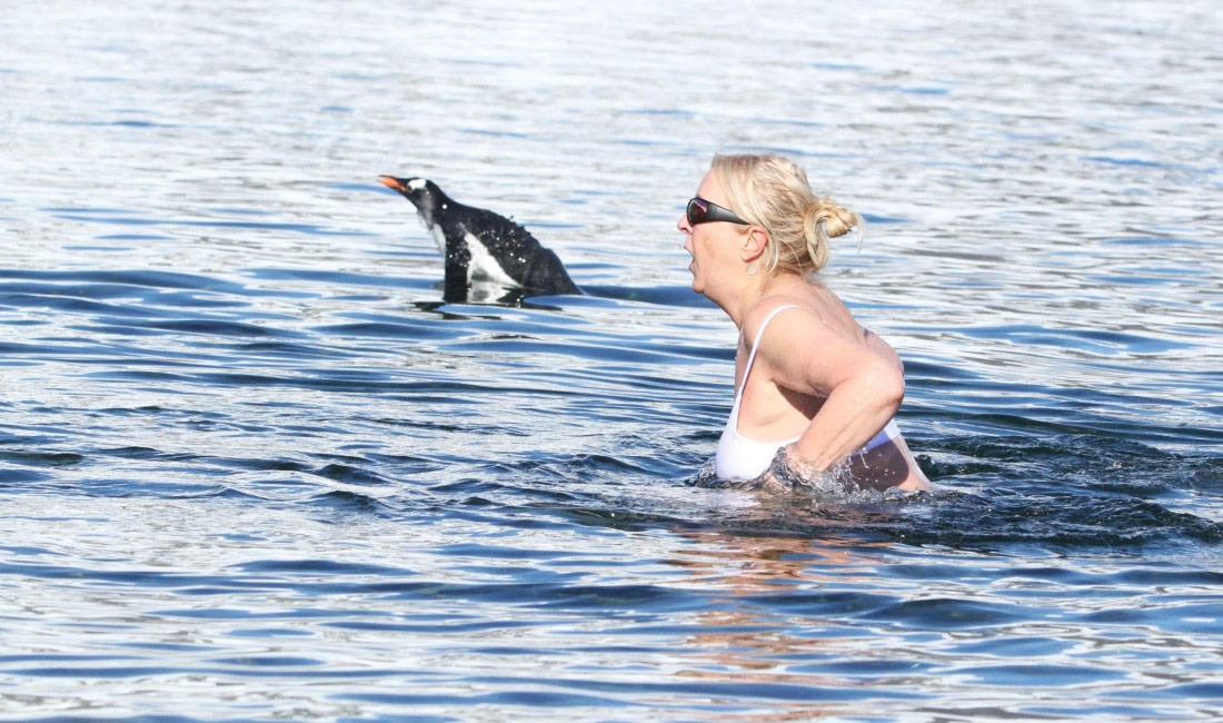 PLA30-25, Day 4, IMG_8098 © Unknown photographer - Oceanwide Expeditions.JPG