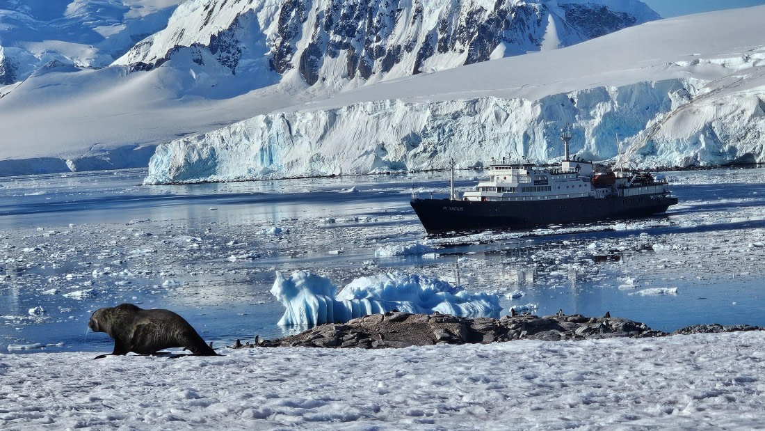PLA30-25, Day 7, 20250303_162205 © Unknown photographer - Oceanwide Expeditions.jpg