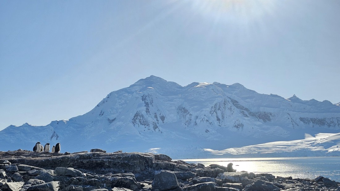 PLA30-25, Day 7, 20250303_163631 © Unknown photographer - Oceanwide Expeditions.jpg