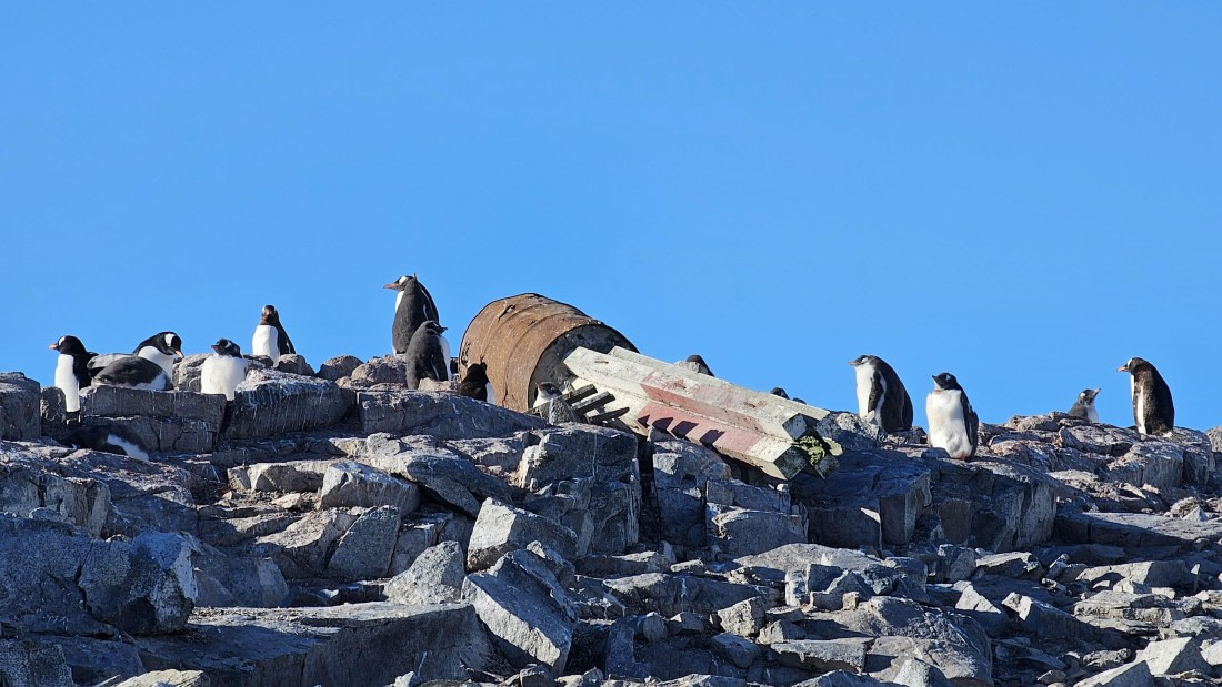PLA30-25, Day 7, 20250303_164949 © Unknown photographer - Oceanwide Expeditions.jpg