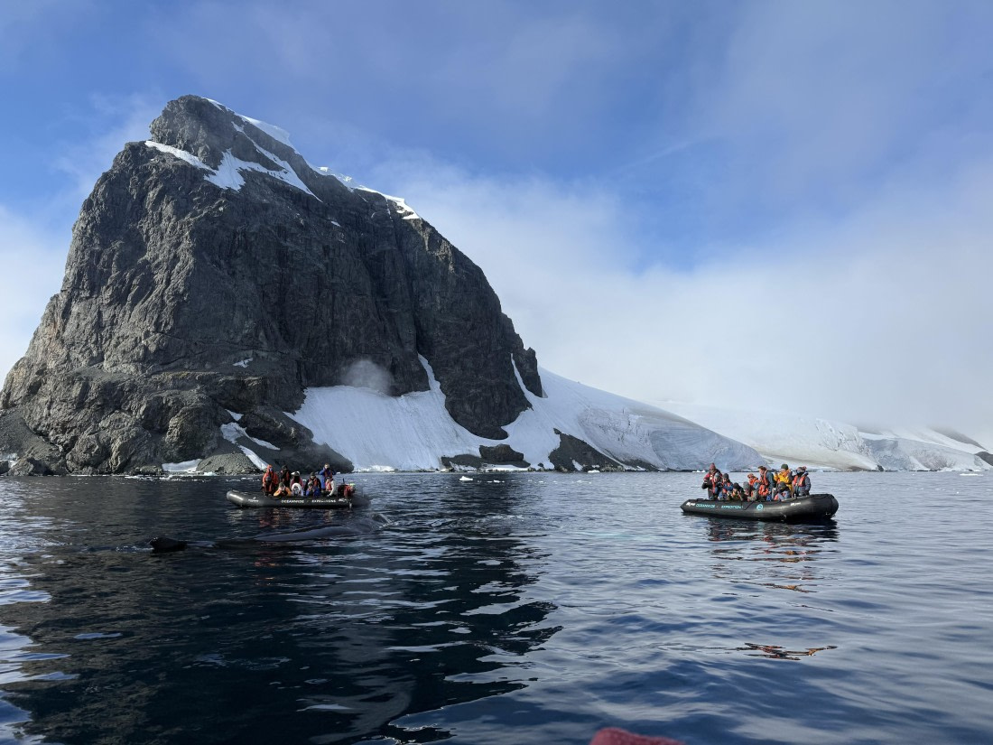 PLA30-25, Day 8, IMG_7656 © Unknown photographer - Oceanwide Expeditions.jpg