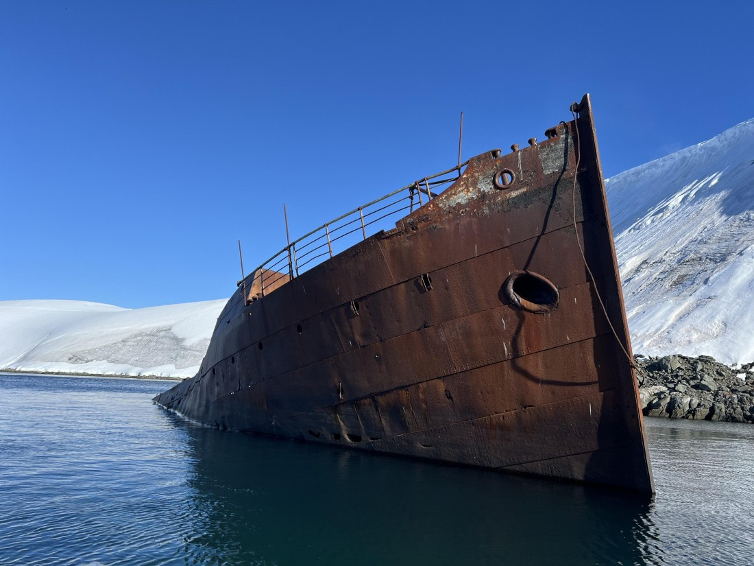 PLA30-25, Day 9, IMG_6428 © Unknown photographer - Oceanwide Expeditions.jpeg