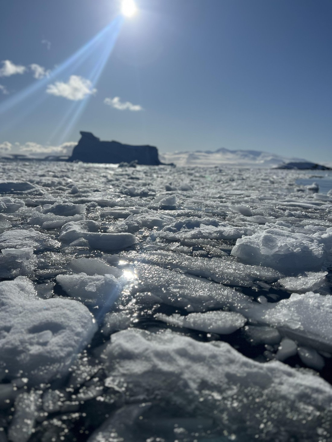 PLA30-25, Day 9, IMG_6430 © Unknown photographer - Oceanwide Expeditions.jpeg