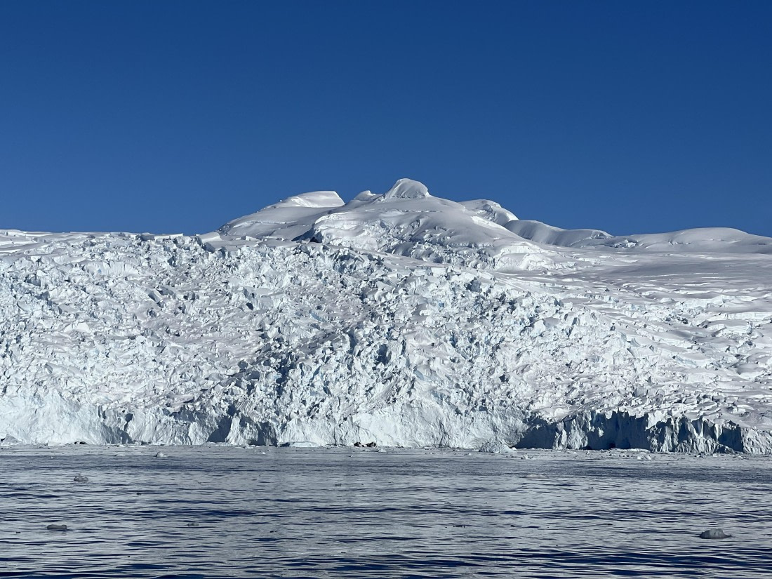 PLA30-25, Day 9, IMG_6432 © Unknown photographer - Oceanwide Expeditions.jpeg