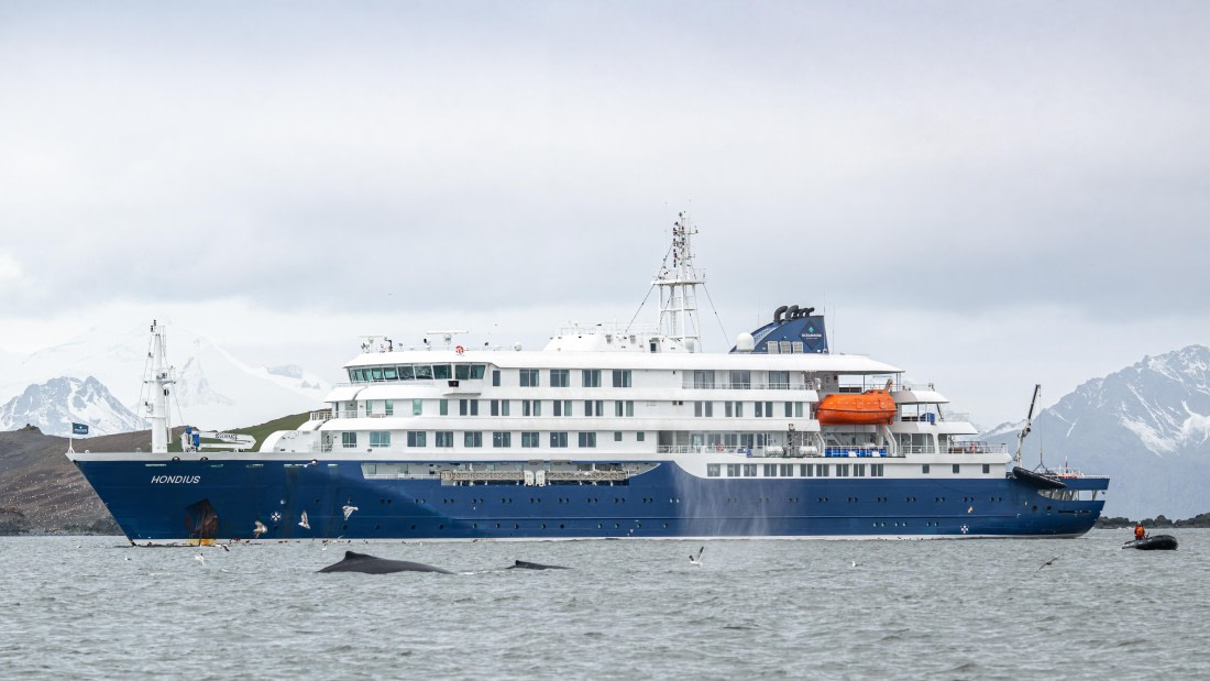 Hannah Point-2 © Ross Wheeler - Oceanwide Expeditions.jpg