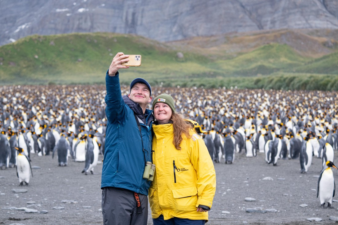 Gold Harbour Penguins-7 © Ross Wheeler - Oceanwide Expeditions.jpg
