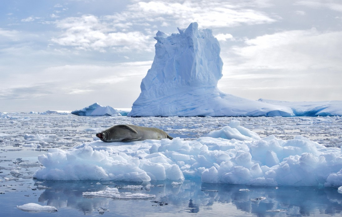 There can be only one Lord of the Rings… and he does not share power