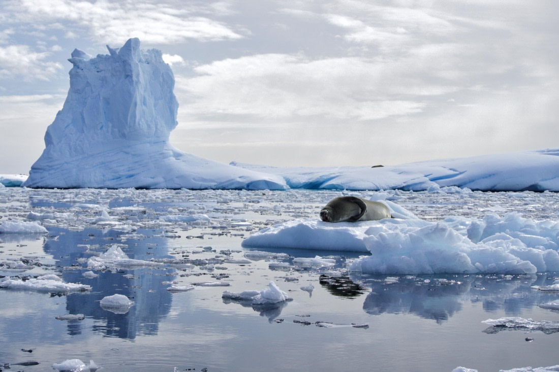 Reflecting on this iceberg and couldn’t choose a photo