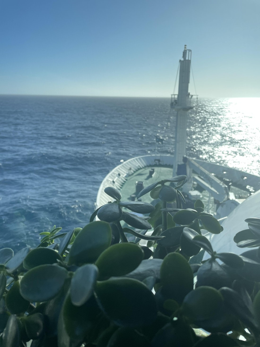 HDS29-25, Day 2, IMG_7456~photo © Unknown photographer - Oceanwide Expeditions.JPG