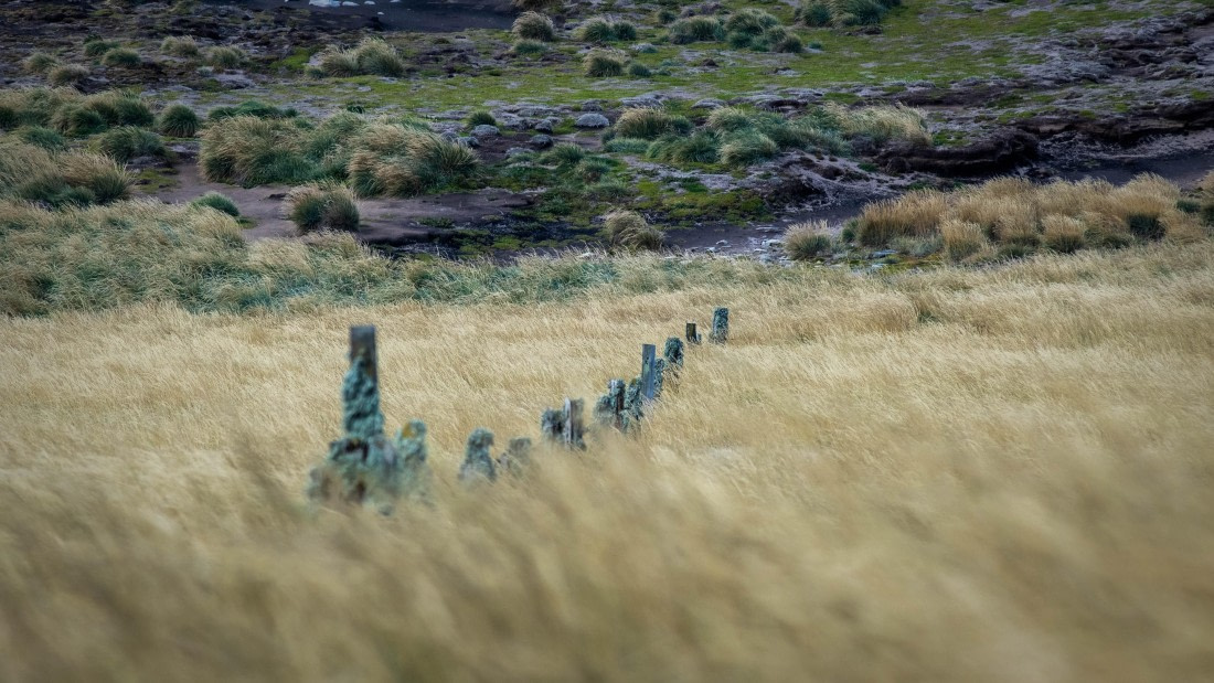HDS29-25, Day 3, RLO_1992 © Alexander Romanovskiy - Oceanwide Expeditions.jpg