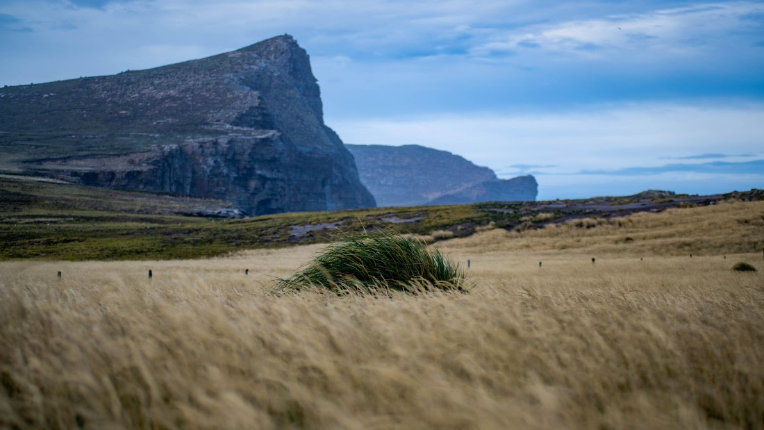 HDS29-25, Day 3, RLO_1996 © Alexander Romanovskiy - Oceanwide Expeditions.jpg
