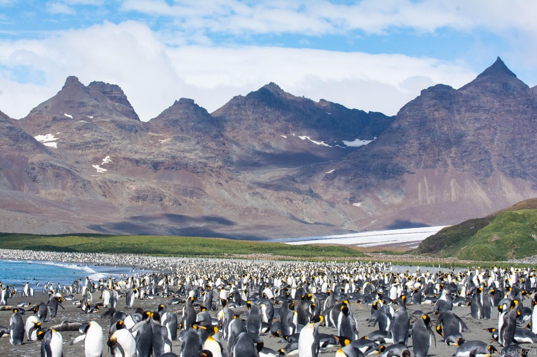 HDS29-25, Day 10, _DSC6798 © Hana Spickova - Oceanwide Expeditions.jpg