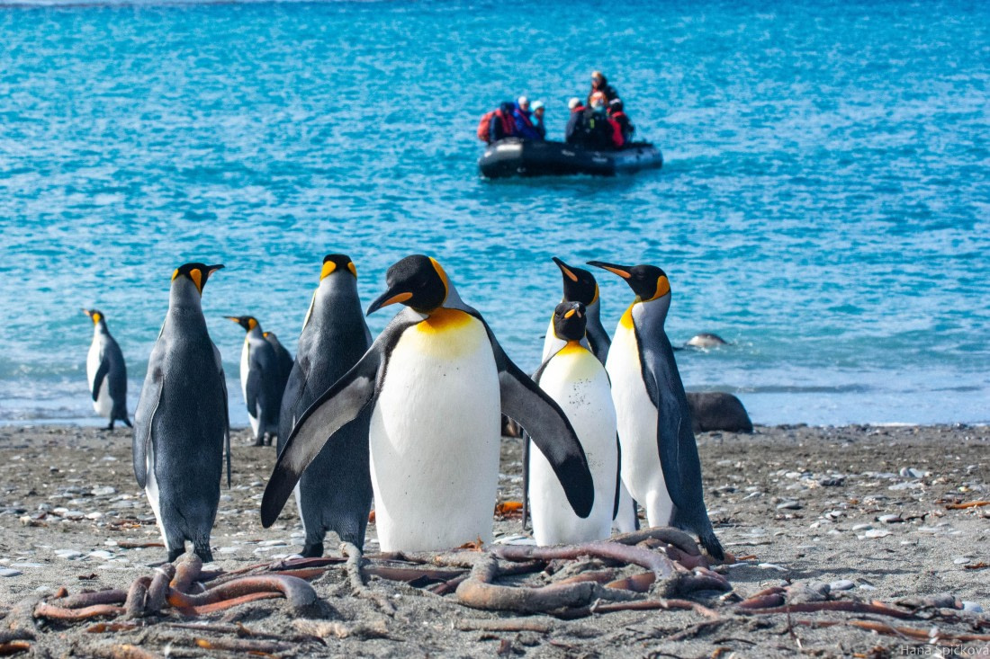 HDS29-25, Day 10, _DSC6821 © Hana Spickova - Oceanwide Expeditions.jpg