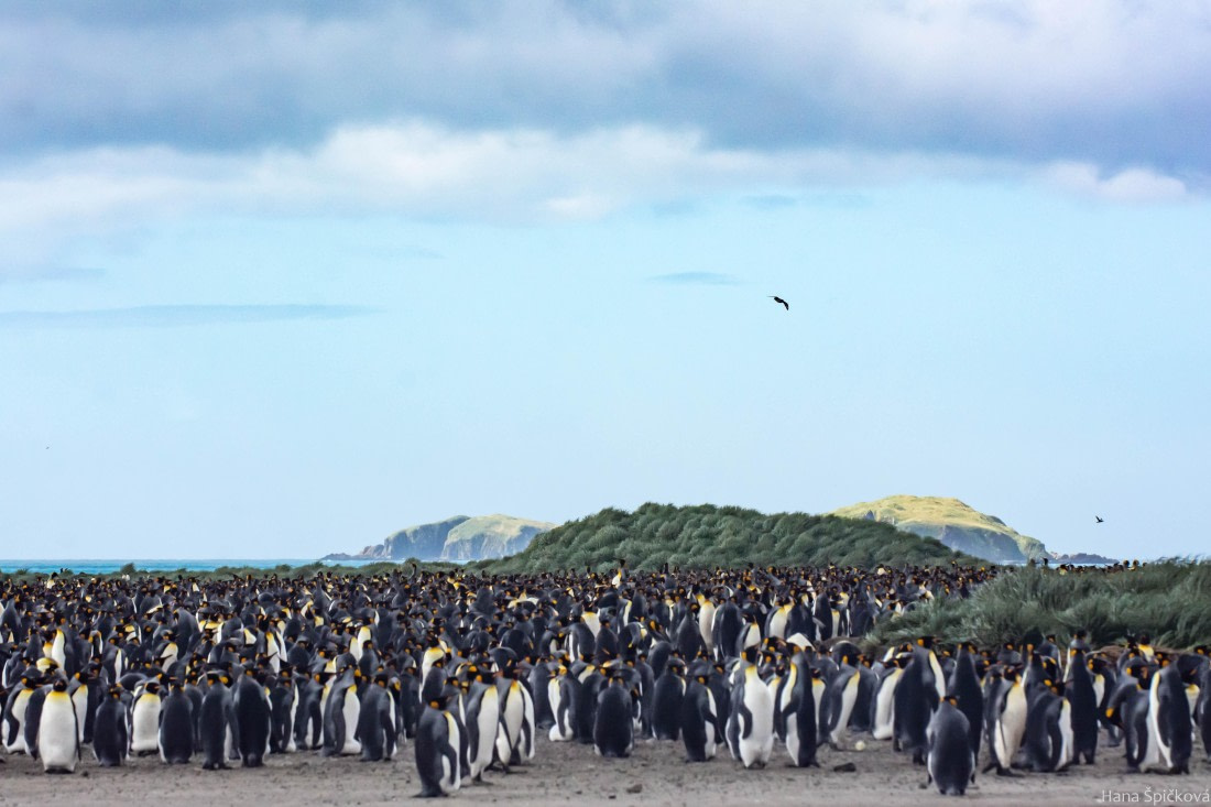 HDS29-25, Day 10, _DSC6844 © Hana Spickova - Oceanwide Expeditions.jpg