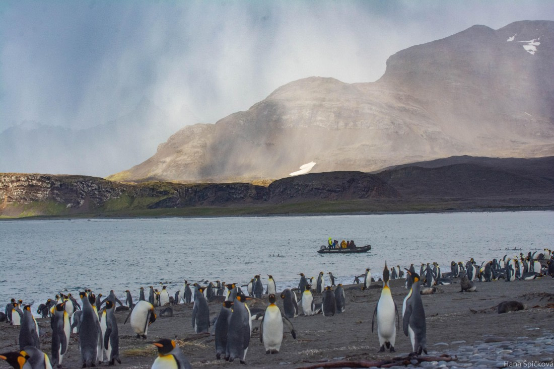 HDS29-25, Day 10, _DSC6852 © Hana Spickova - Oceanwide Expeditions.jpg