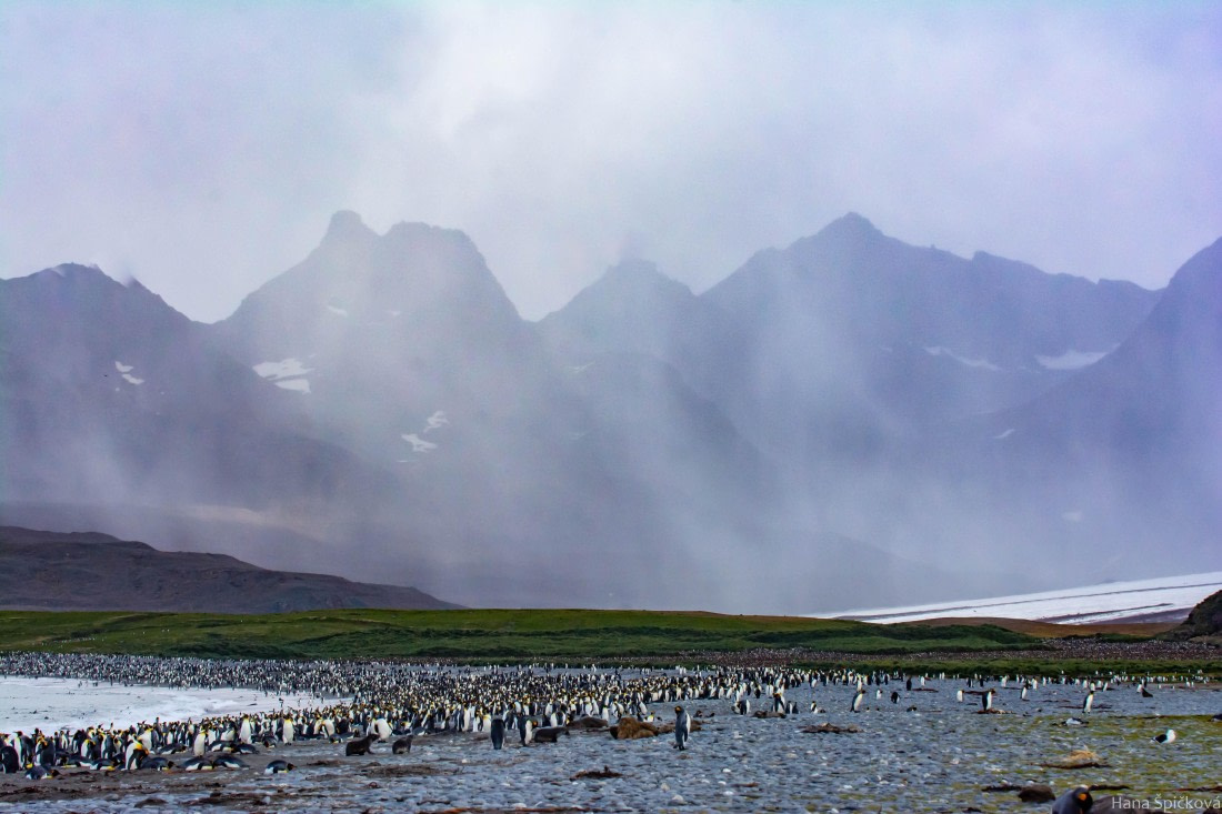 HDS29-25, Day 10, _DSC6855 © Hana Spickova - Oceanwide Expeditions.jpg