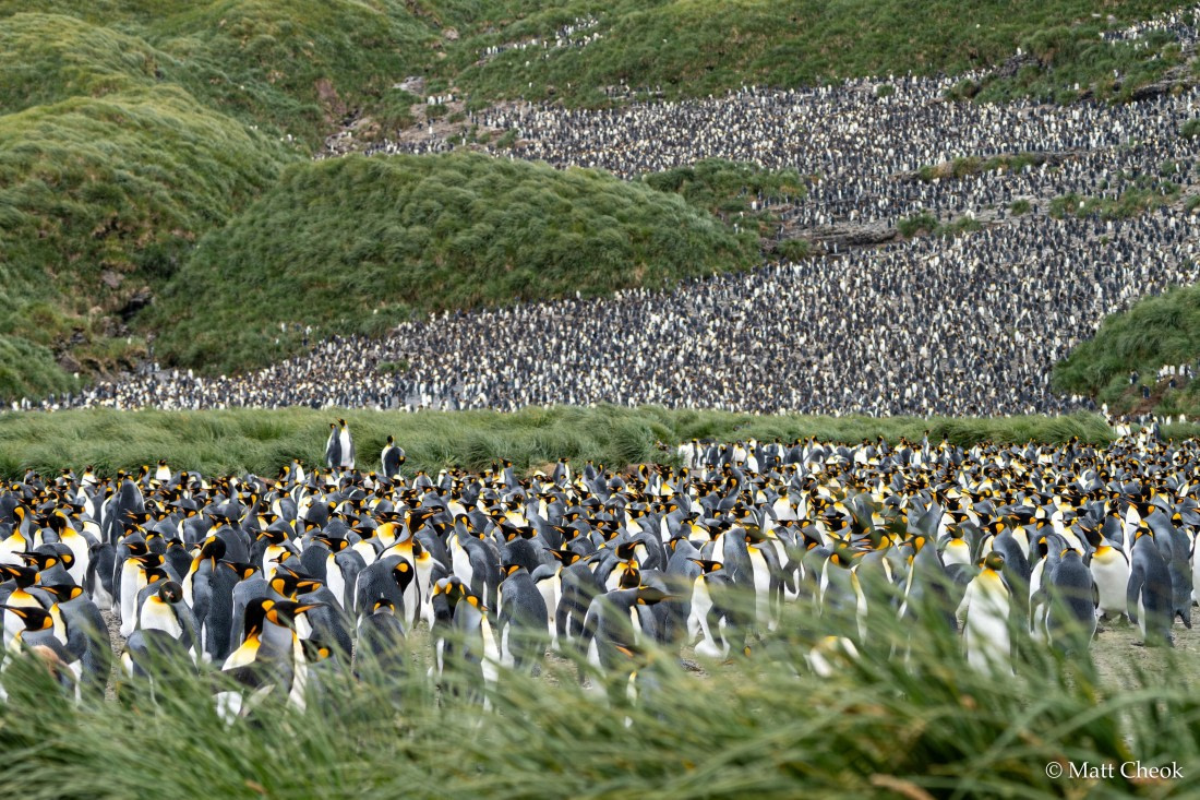 HDS29-25, Day 10, DSC06920 © Matt Cheok - Oceanwide Expeditions.jpg