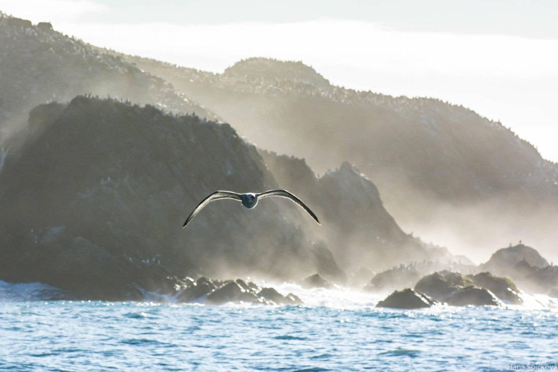 HDS29-25, Day 13, _DSC7020 © Hana Spickova - Oceanwide Expeditions.jpg