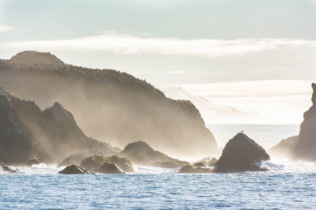 HDS29-25, Day 13, _DSC7024 © Hana Spickova - Oceanwide Expeditions.jpg