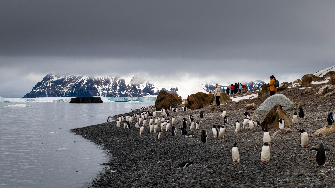 HDS29-25, Day 14, RLO_2346 © Alexander Romanovskiy - Oceanwide Expeditions.jpg