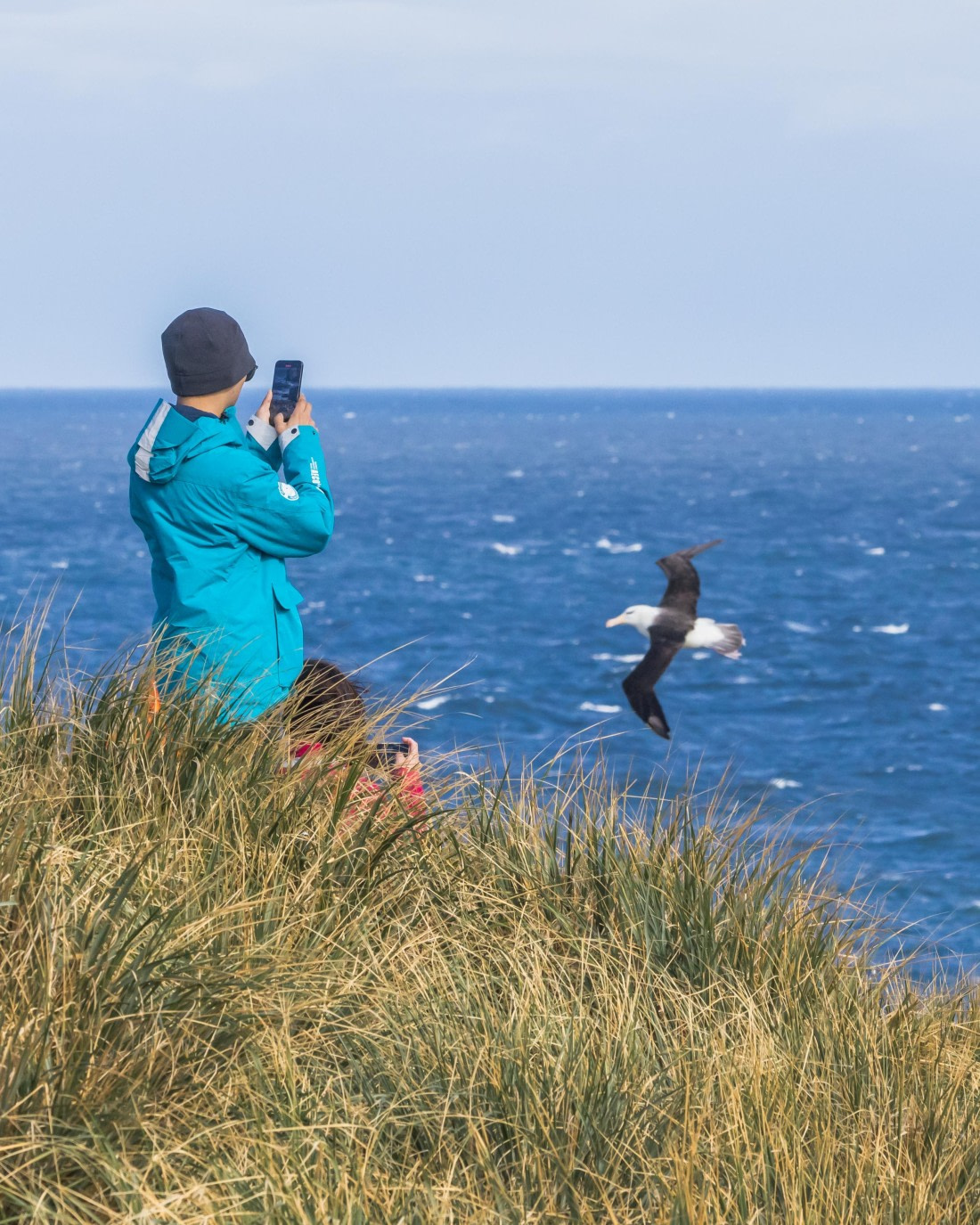 apeacock_HDS28-25_Antarctica_SG-FL_250203-0974.jpg