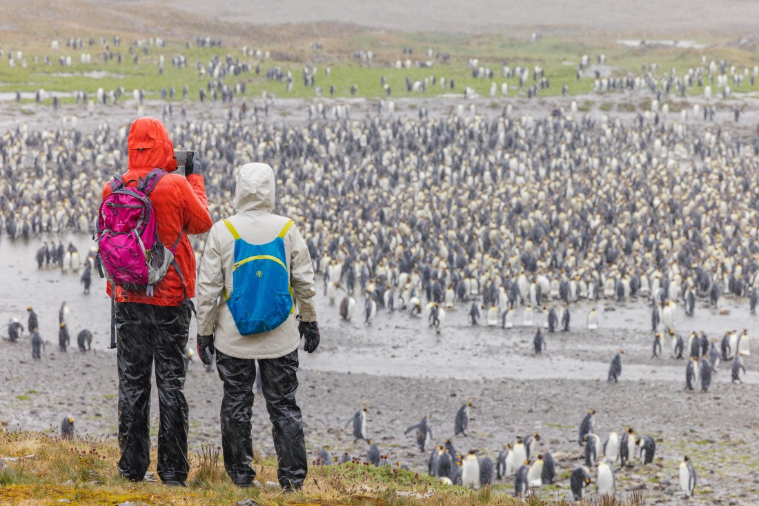 apeacock_HDS28-25_Antarctica_SG-FL_250207-2314.jpg