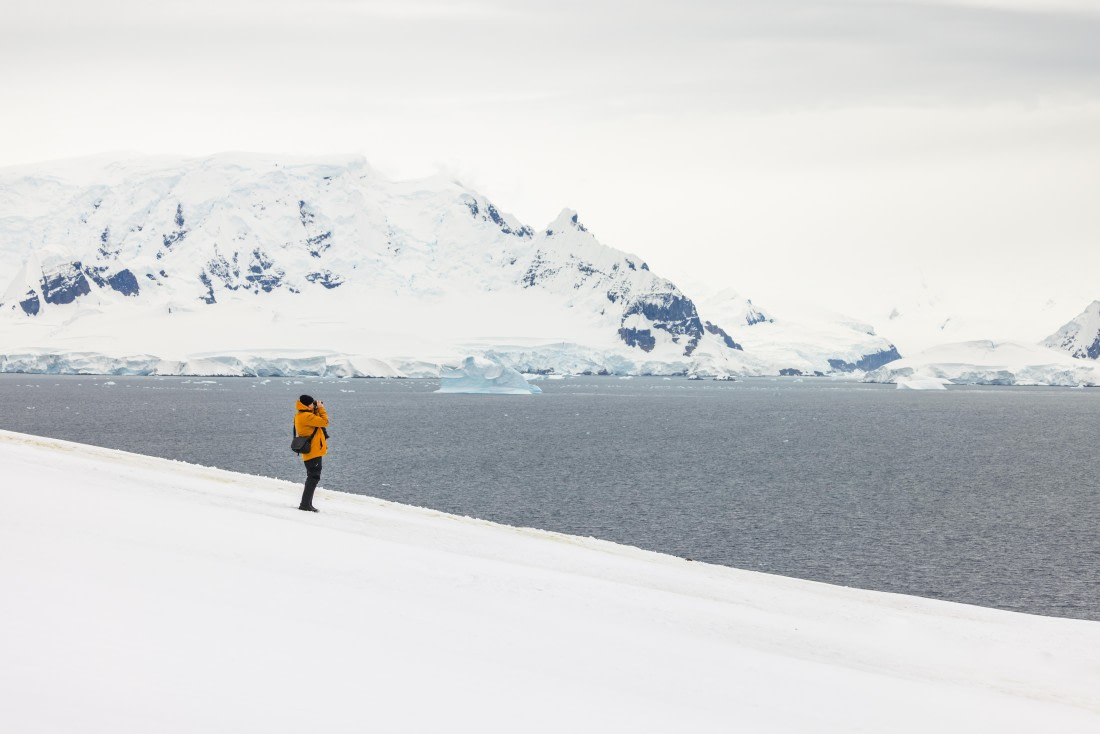 apeacock_HDS28-25_Antarctica_SG-FL_250215-3966.jpg