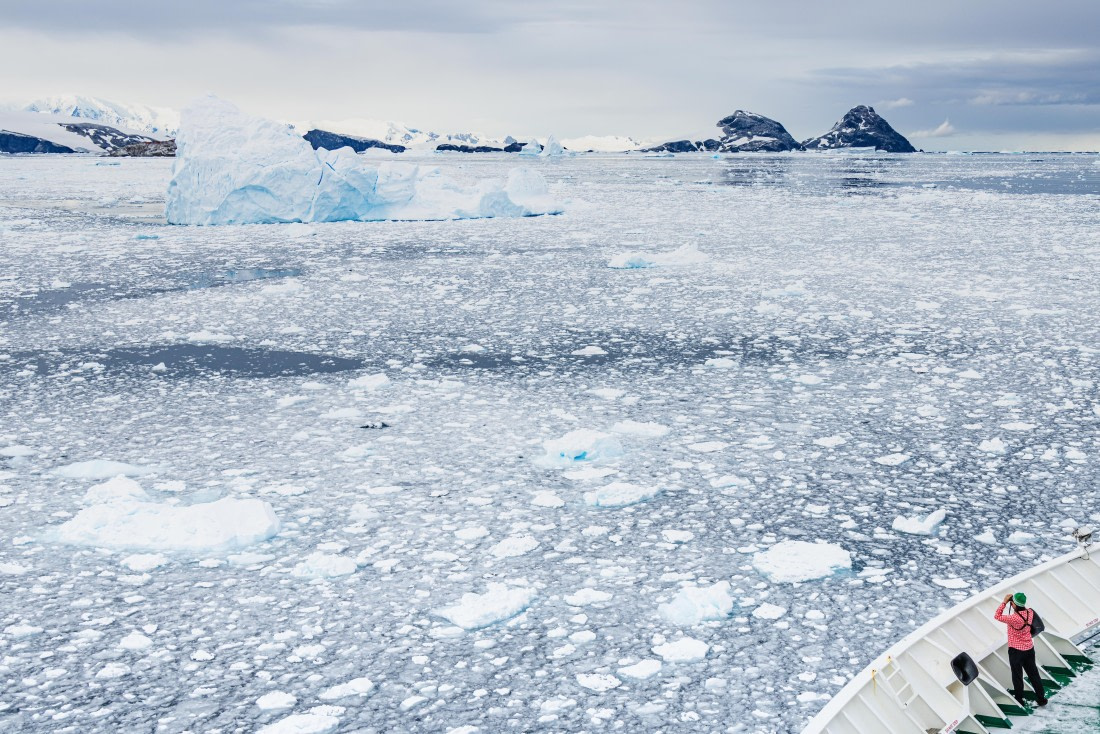 apeacock_HDS28-25_Antarctica_SG-FL_250215-5887.jpg