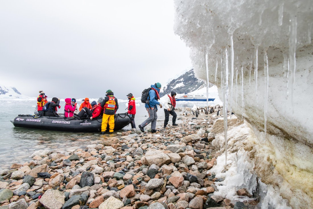 apeacock_HDS28-25_Antarctica_SG-FL_250216-7812.jpg