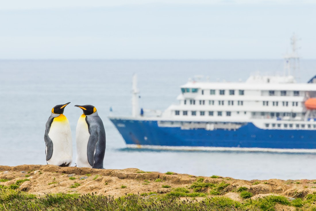 apeacock_HDS28-25_Antarctica_SG-FL_250209-5380.jpg