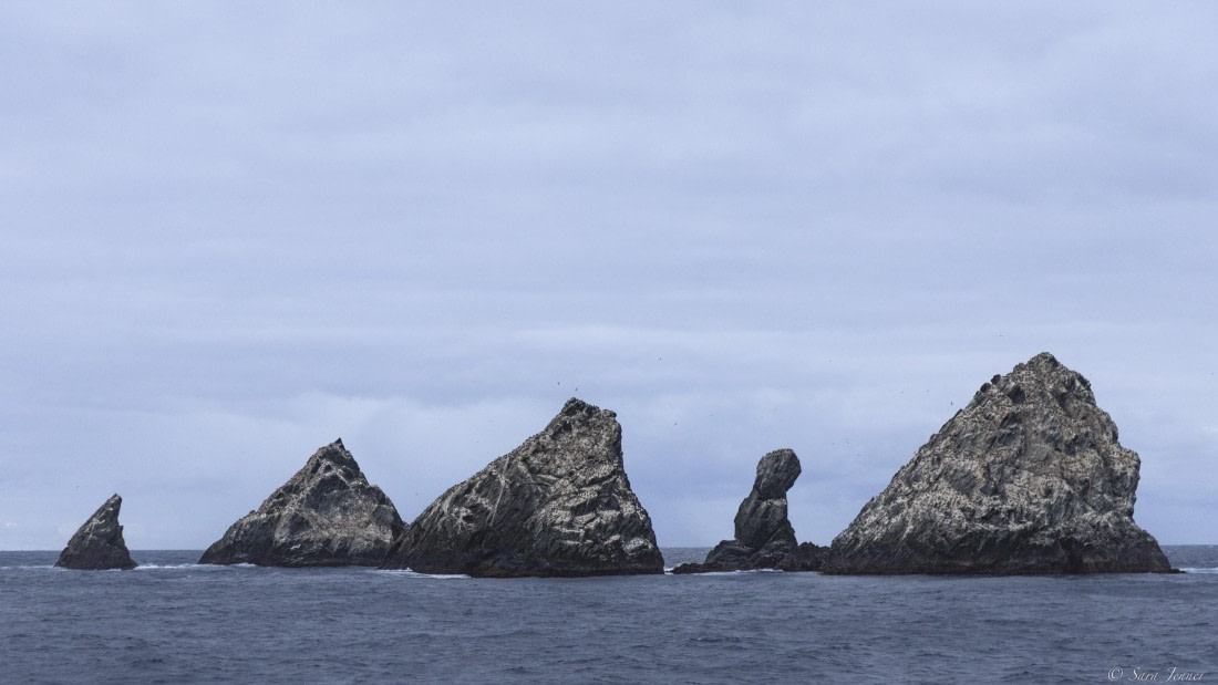 OTL30-25, Day 4, Shag Rocks © Sara Jenner - Oceanwide Expeditions.jpg