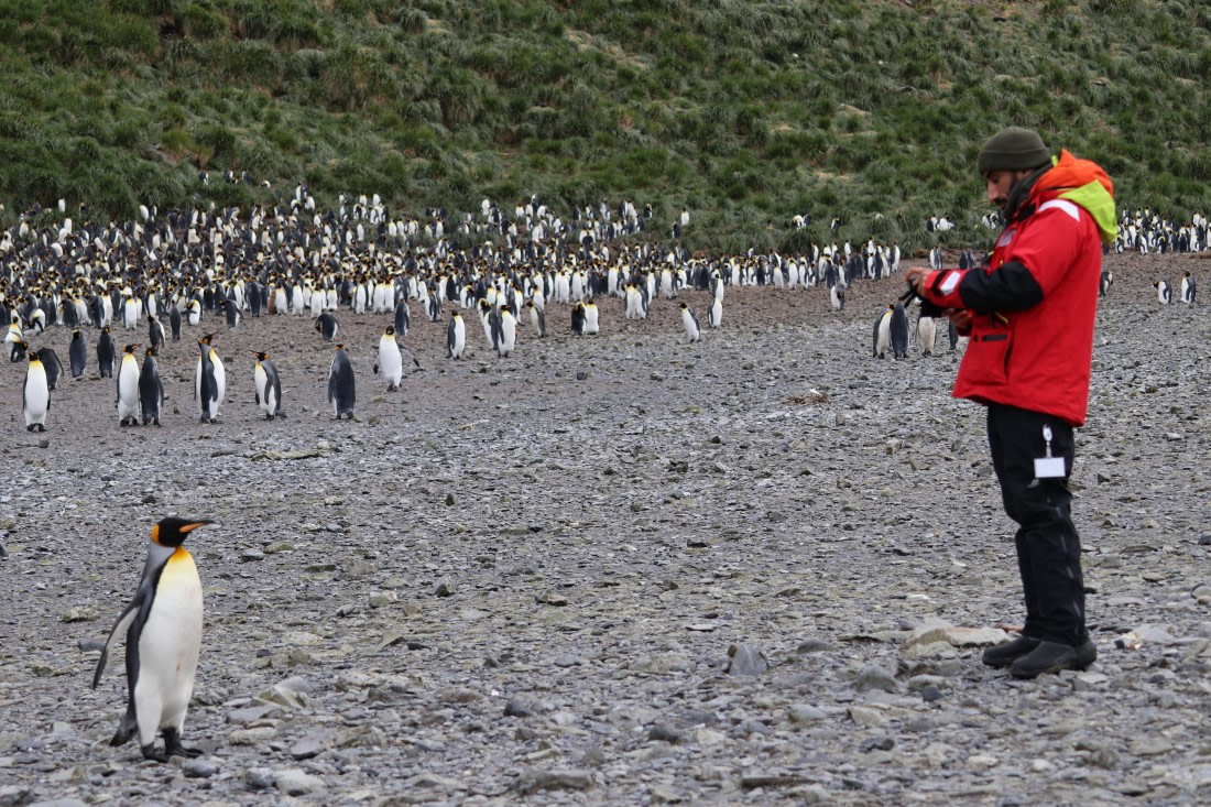 OTL30-25, Day 5, doctor and king © Unknown photographer - Oceanwide Expeditions.JPG