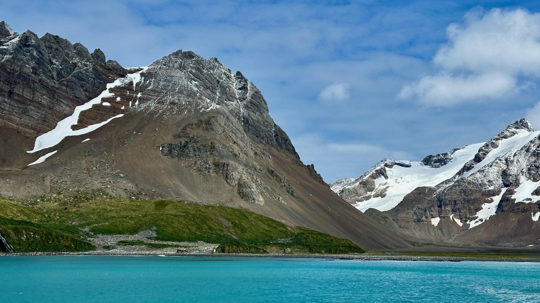 OTL30-25, Day 5, Right Whale Bay © Unknown photographer - Oceanwide Expeditions.jpeg