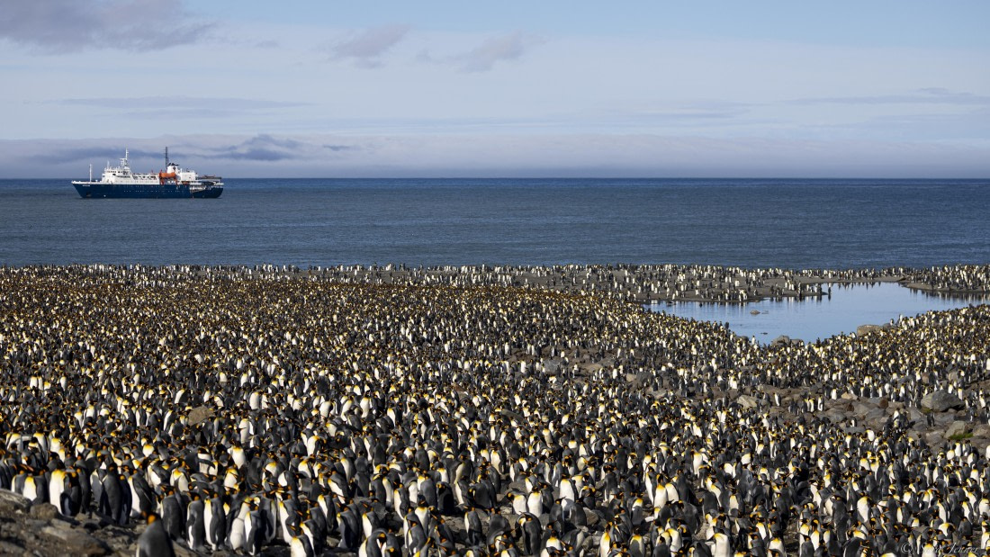 OTL30-25, Day 6, St Andrews with ship © Sara Jenner - Oceanwide Expeditions.jpg