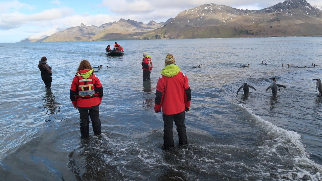 OTL30-25, Day 7, IMG_6655 © Unknown photographer - Oceanwide Expeditions.JPG