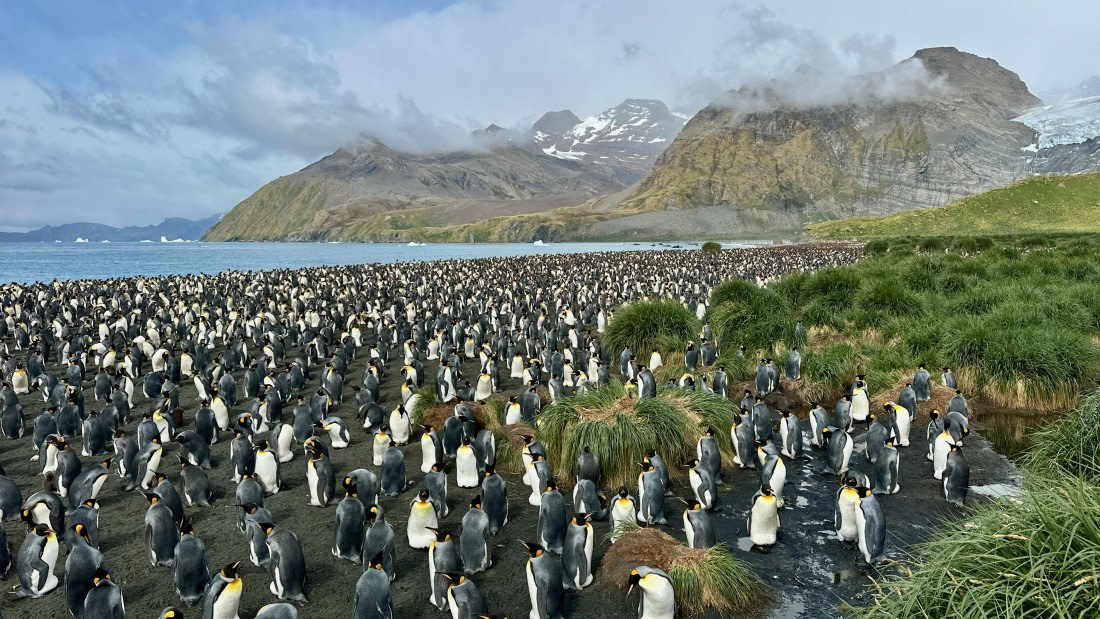 OTL30-25, Day 7, IMG_9089 © Unknown photographer - Oceanwide Expeditions.jpeg