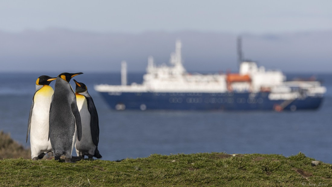 OTL30-25, Day 7, Three kings and ortelius © Sara Jenner - Oceanwide Expeditions.jpg