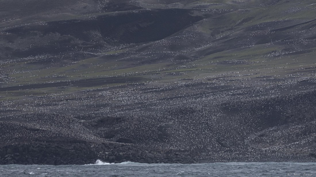 OTL30-25, Day 8, Zavodovski 4 © Sara Jenner - Oceanwide Expeditions.jpg