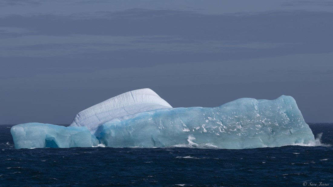 OTL30-25, Day 9, Blue Iceberg © Sara Jenner - Oceanwide Expeditions.jpg