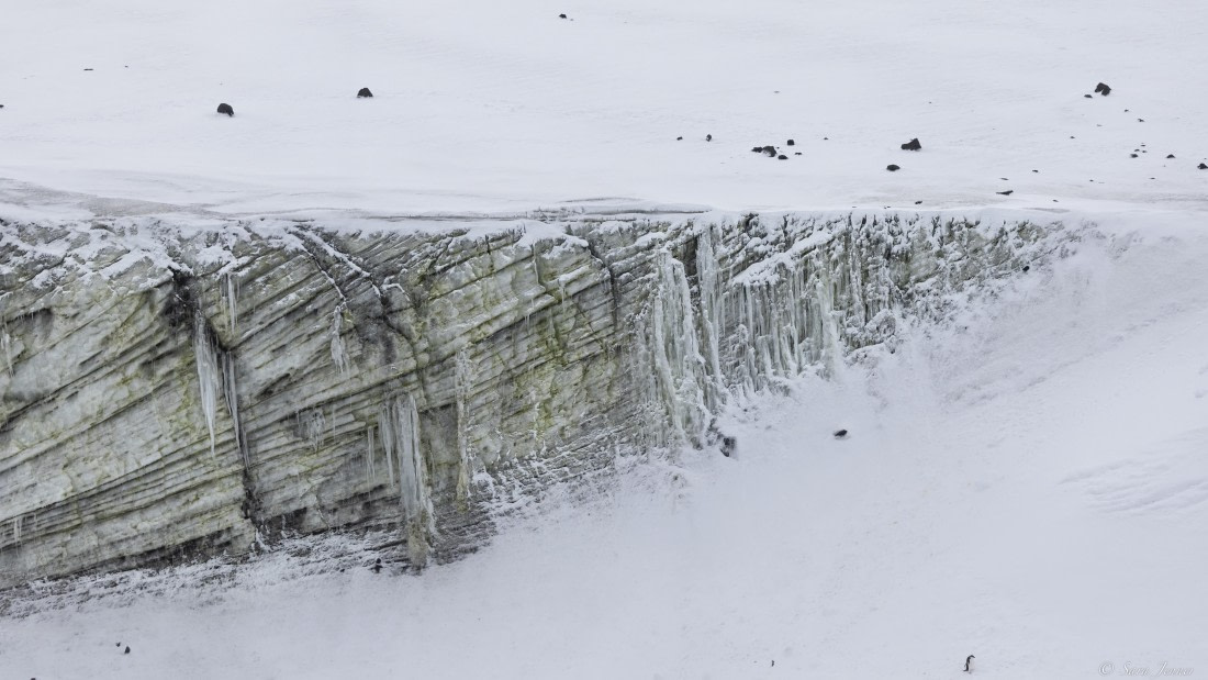 OTL30-25, Day 9, Cook Island © Sara Jenner - Oceanwide Expeditions.jpg