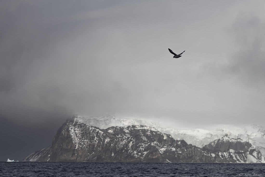 OTL30-25, Day 9, Thule Island © Sara Jenner - Oceanwide Expeditions.jpg