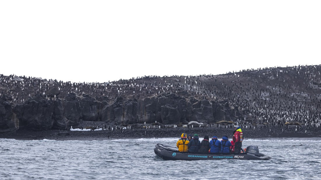 OTL30-25, Day 9, Zodiac cruise 1 © Sara Jenner - Oceanwide Expeditions.jpg