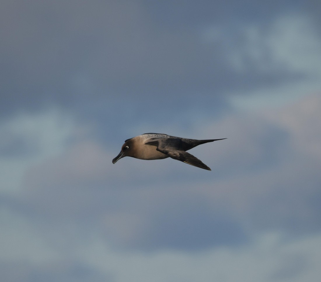 OTL30-25, Day 10, GH2 © Unknown photographer - Oceanwide Expeditions.JPG