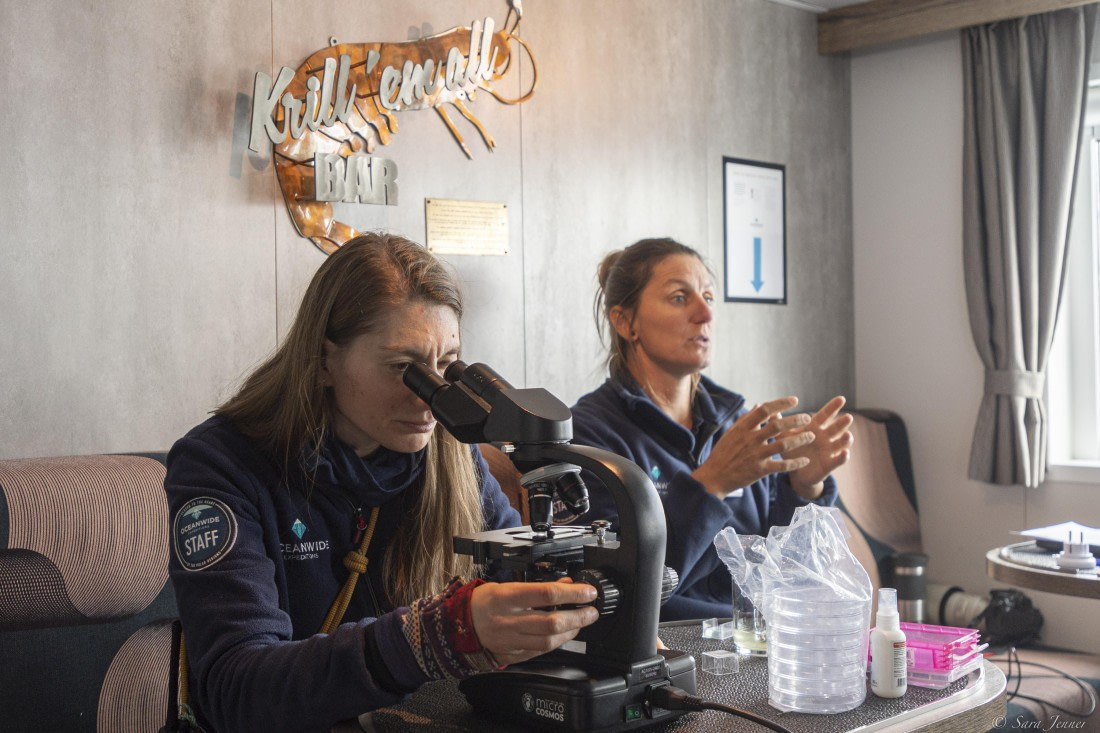 OTL30-25, Day 10, Plankton workshop © Sara Jenner - Oceanwide Expeditions.jpg