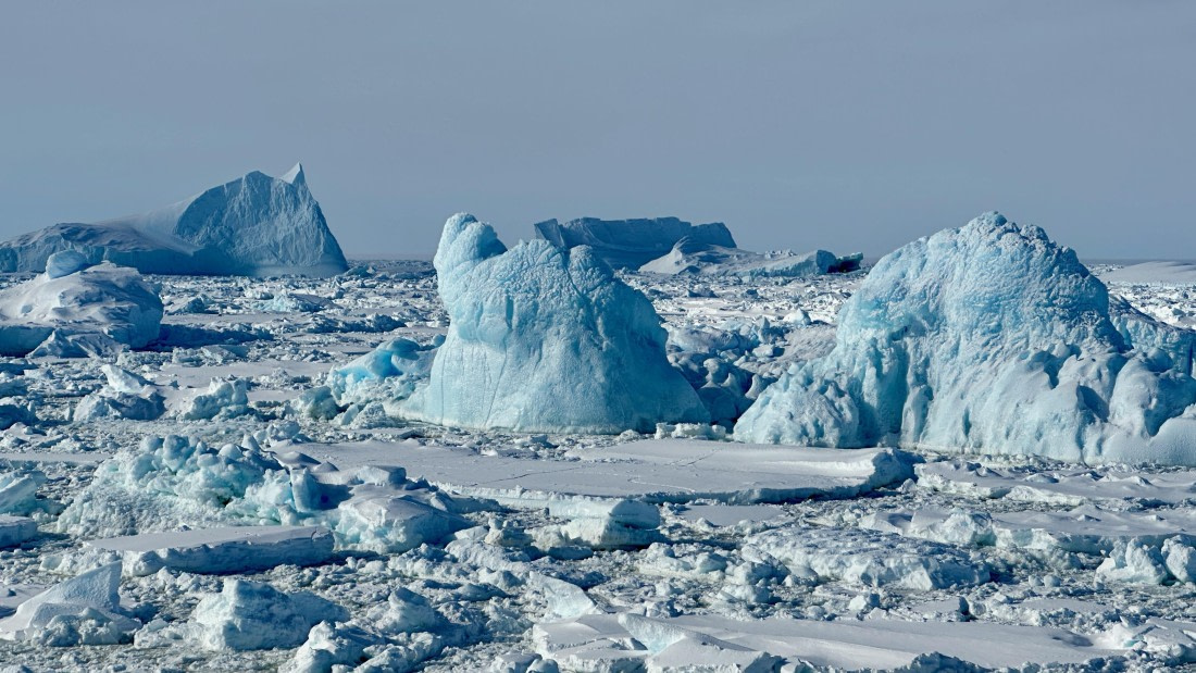 OTL30-25, Day 13, IMG_9631 © Unknown photographer - Oceanwide Expeditions.jpeg